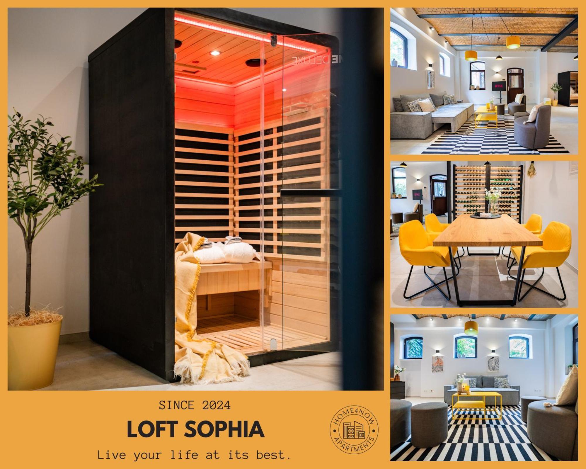 Apartment Luxurioeses 100m2 Loft Mit Sauna & Parkplatz - Platz Fuer 4 Personen *